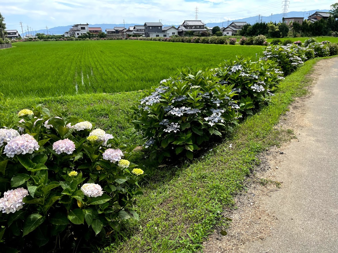 f:id:Croquis009:20210620194816j:plain