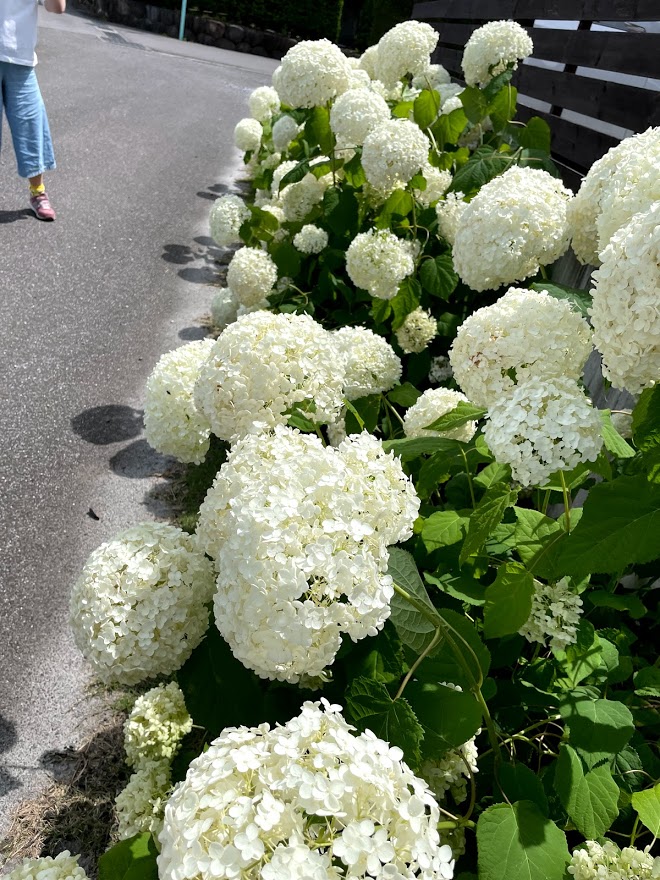 f:id:Croquis009:20210620194831j:plain