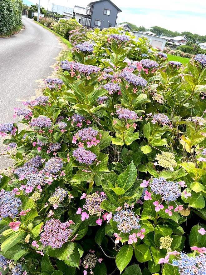 f:id:Croquis009:20210620194845j:plain