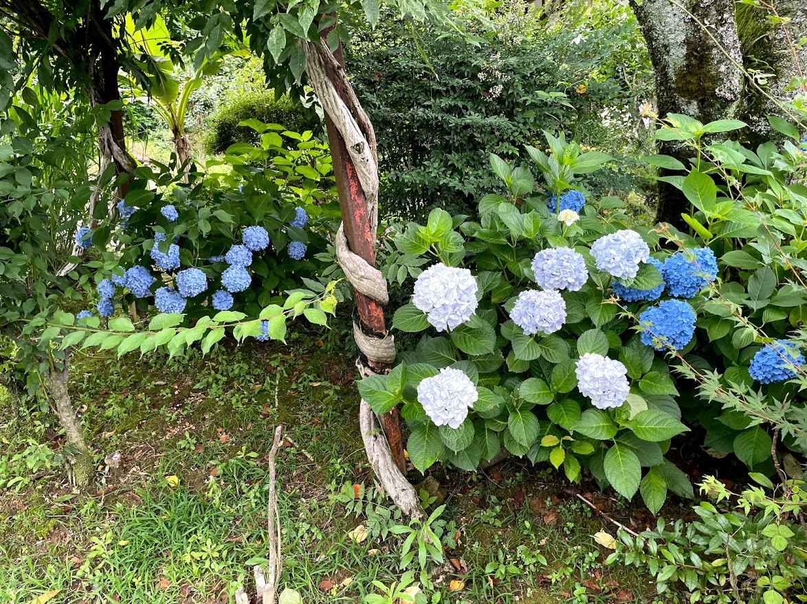 f:id:Croquis009:20210620195052j:plain