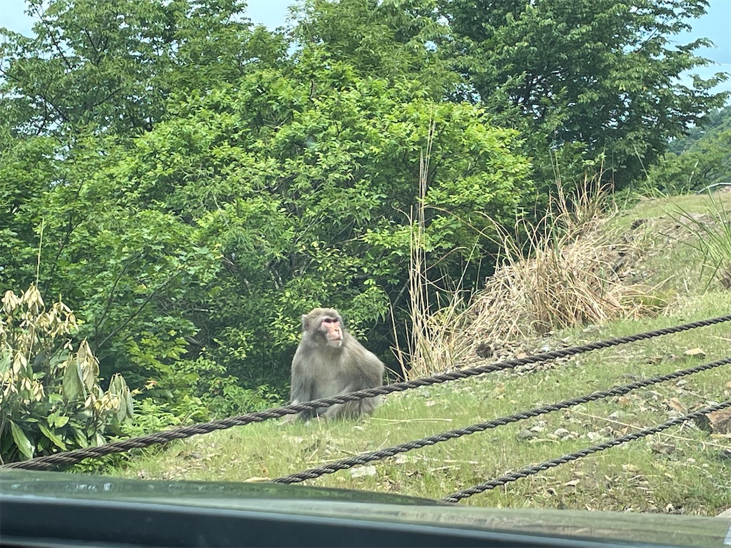 f:id:Croquis009:20220521161939j:image