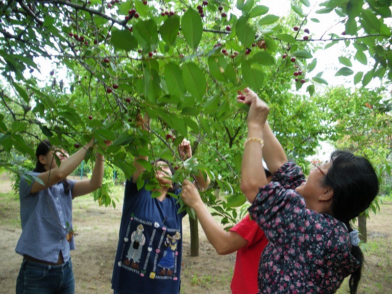 f:id:Csomor:20110630191256j:image f:id:Csomor:20110630191256j:image