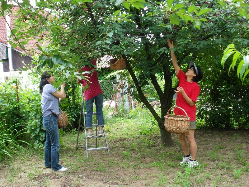f:id:Csomor:20110630191258j:image f:id:Csomor:20110630191258j:image