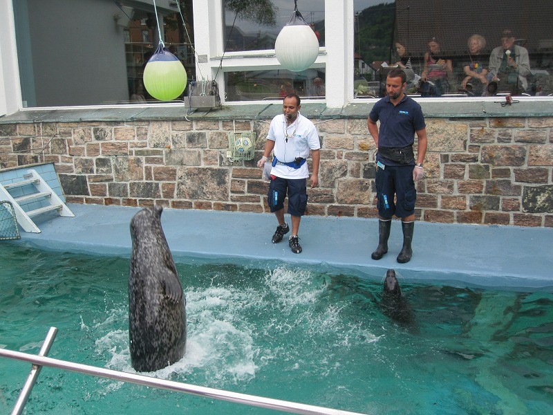 f:id:Csomor:20130726141054j:image:w360 f:id:Csomor:20130726141054j:image:w360