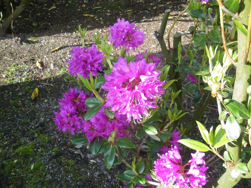 f:id:Csomor:20130726141426j:image:w360 f:id:Csomor:20130726141426j:image:w360