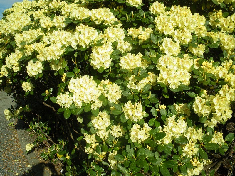 f:id:Csomor:20130726141428j:image:w360 f:id:Csomor:20130726141428j:image:w360