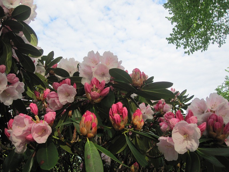 f:id:Csomor:20130726141430j:image:w360 f:id:Csomor:20130726141430j:image:w360