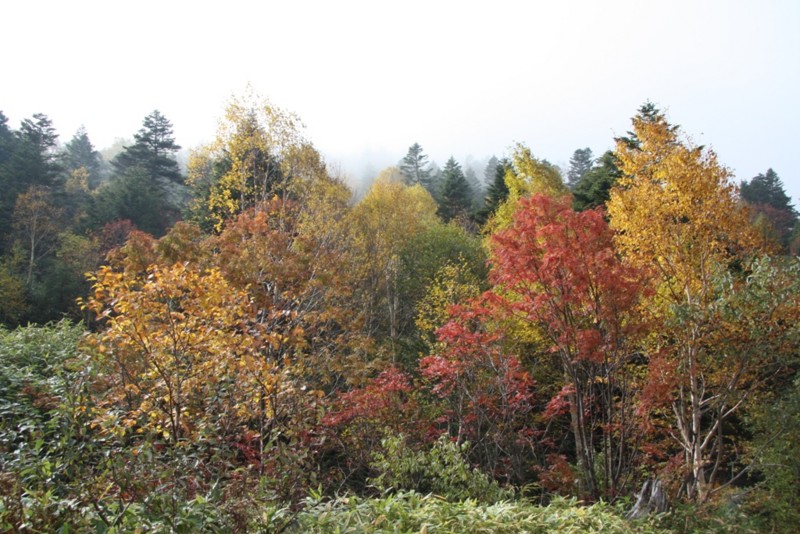 f:id:Csomor:20151009021448j:image:w360 f:id:Csomor:20151009021448j:image:w360