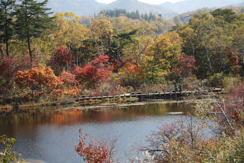 f:id:Csomor:20151009031050j:image:w360 f:id:Csomor:20151009031050j:image:w360