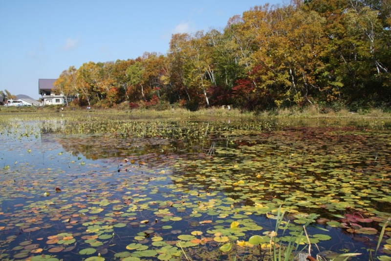 f:id:Csomor:20151009040038j:image:w360 f:id:Csomor:20151009040038j:image:w360