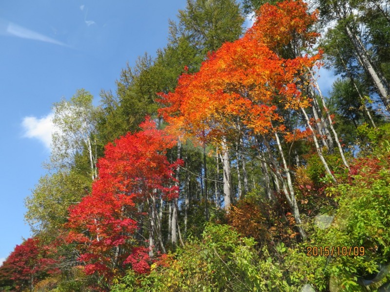 f:id:Csomor:20151009121524j:image:w360 f:id:Csomor:20151009121524j:image:w360