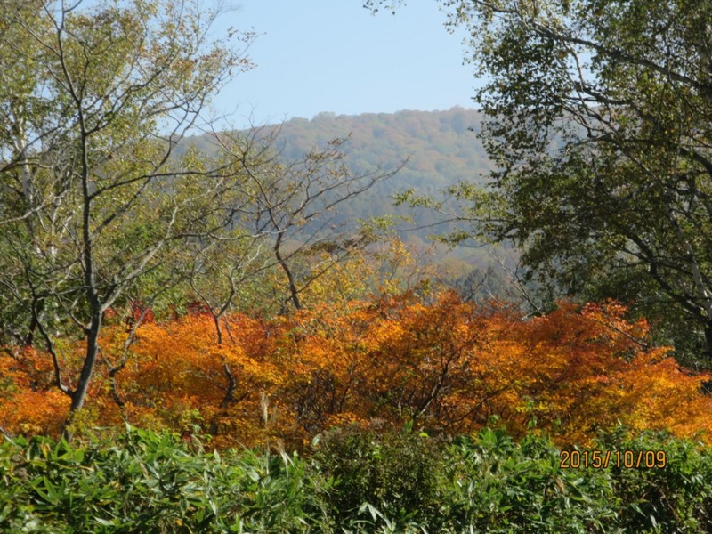 f:id:Csomor:20151009123545j:image:w360 f:id:Csomor:20151009123545j:image:w360