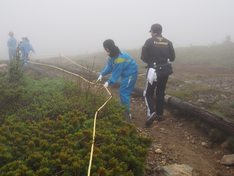 f:id:Csomor:20160614103326j:image:w360