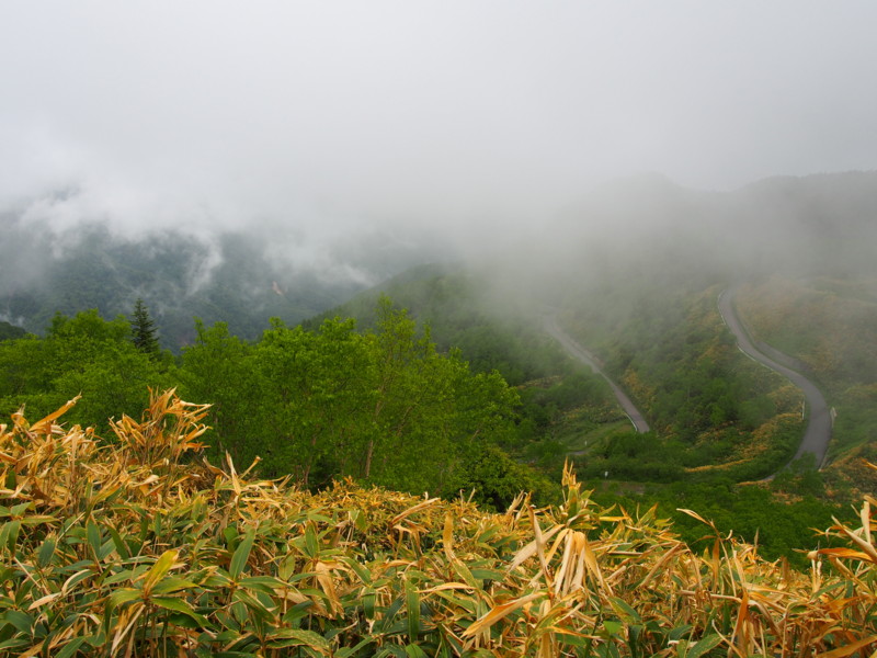 f:id:Csomor:20160614140858j:image:w360