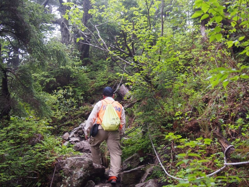 f:id:Csomor:20160614143019j:image:w360