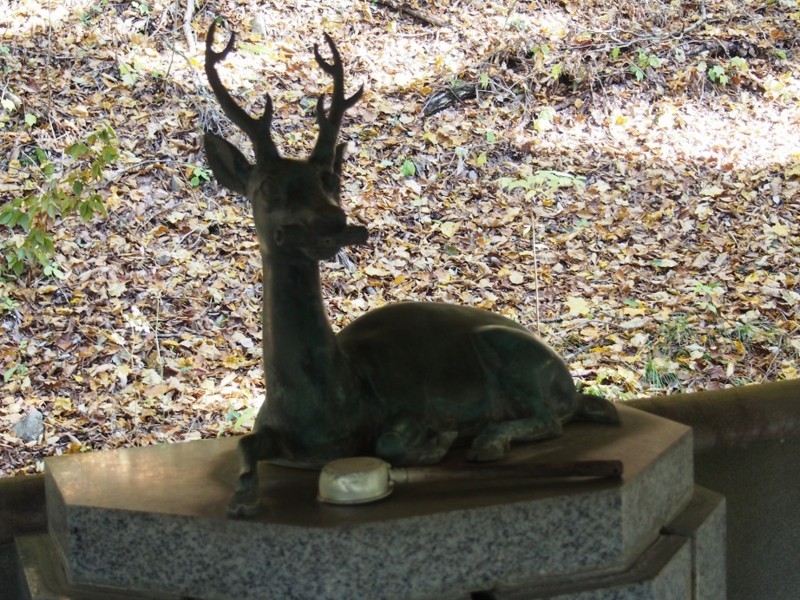 f:id:Csomor:20171031134922j:image:w360