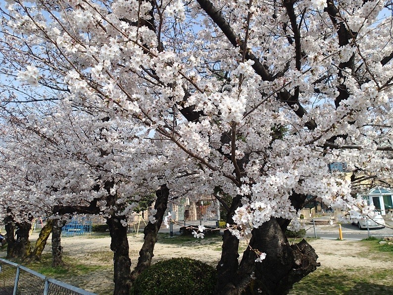 f:id:Csomor:20180326100518j:image:w360