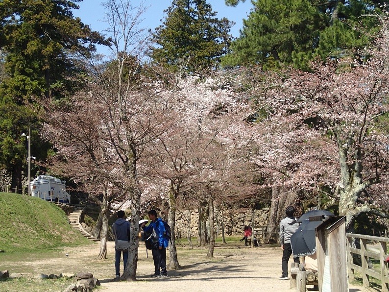 f:id:Csomor:20180328133314j:image:w360