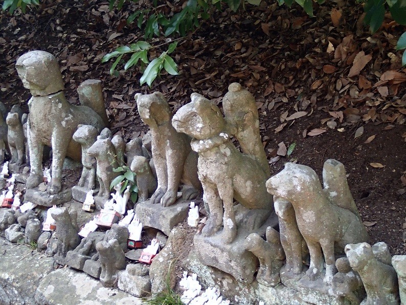 f:id:Csomor:20180328145834j:image:w360