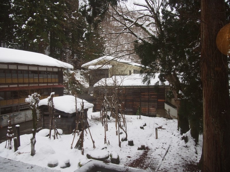 f:id:Csomor:20181211151416j:image:w360