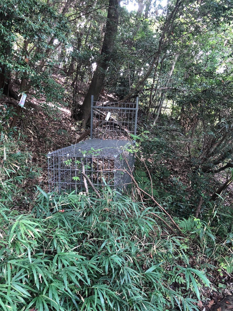 f:id:Cub_Planning:20190922141911j:image f:id:Cub_Planning:20190922141911j:image