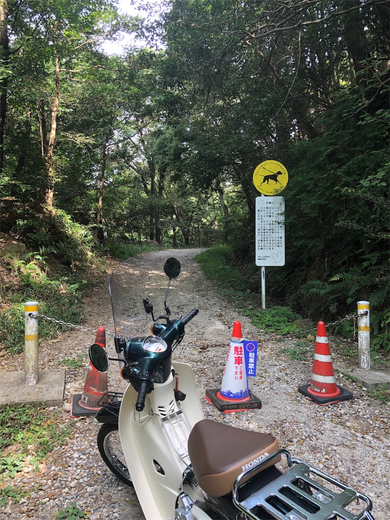 f:id:Cub_Planning:20190922141914j:image f:id:Cub_Planning:20190922141914j:image