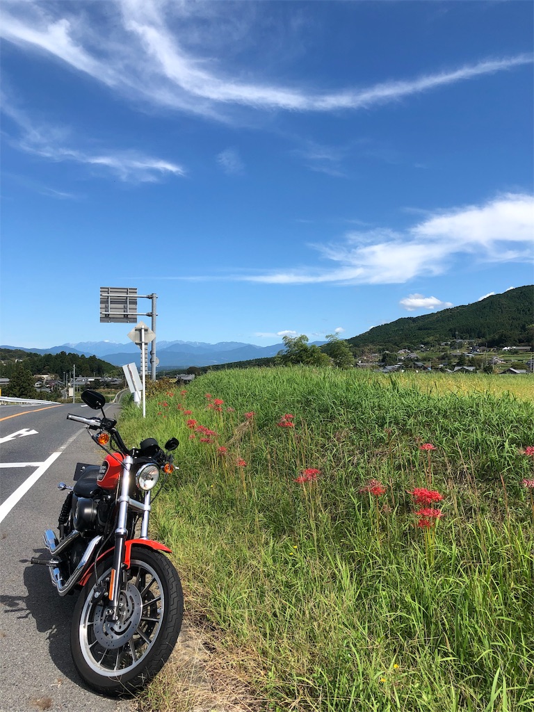 f:id:Cub_Planning:20191006003931j:image