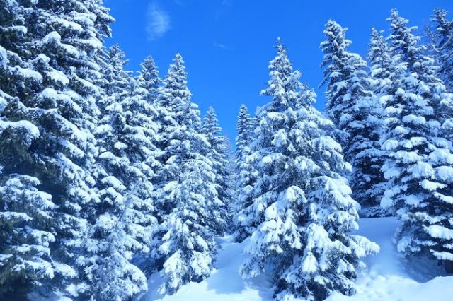 ｢ああいう凍傷は見たことがない｣…エベレストで指9本を失った栗城史多さんに登山家たちが冷たかった理由 - Plenty of quality　