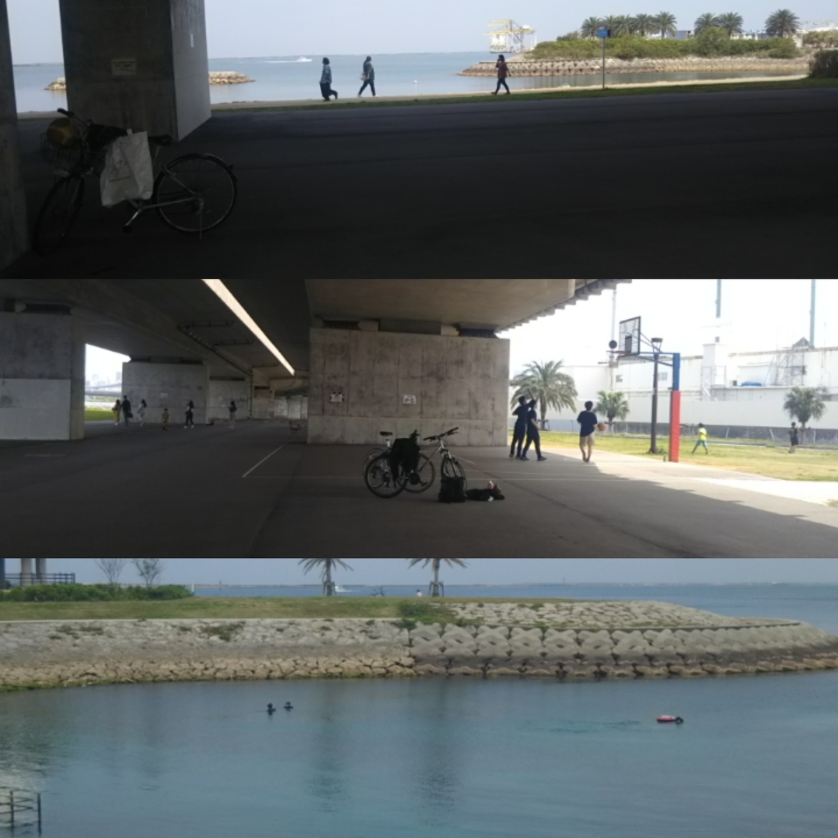 f:id:Curiosityokinawa:20200321121007j:plain f:id:Curiosityokinawa:20200321121007j:plain