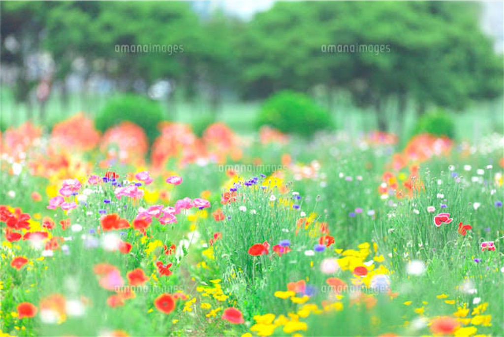 f:id:CuriouBe:20220416160404j:image