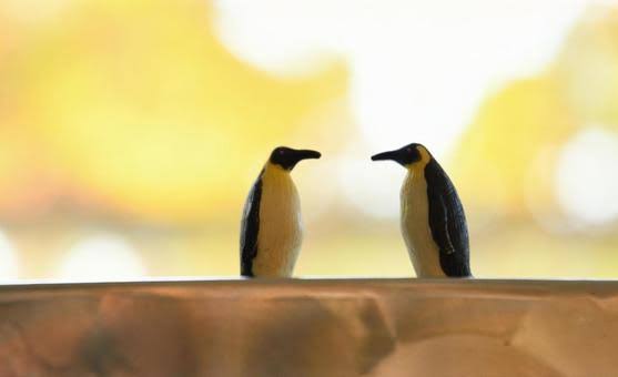 f:id:CuriouBe:20220417163246j:plain