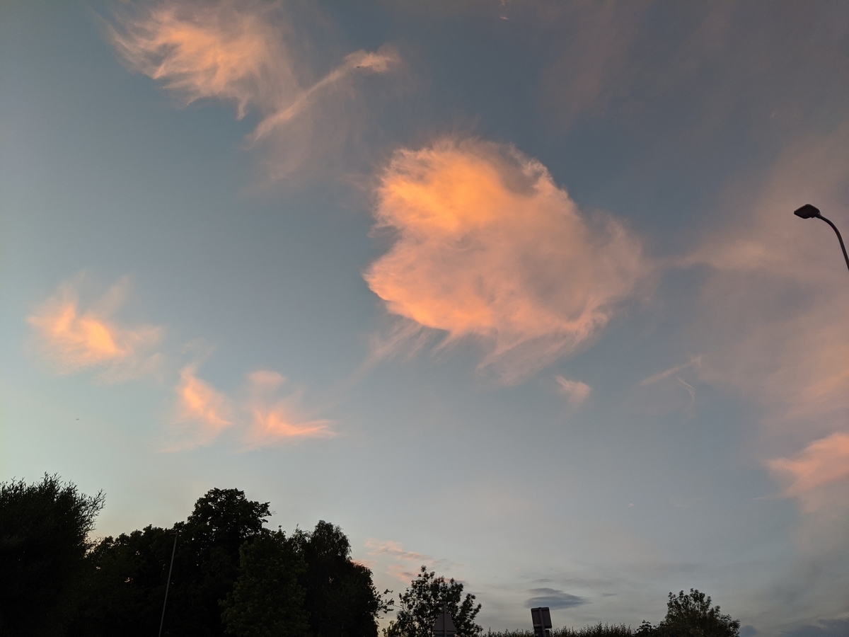 f:id:CuriousCat:20200528083014j:plain f:id:CuriousCat:20200528083014j:plain
