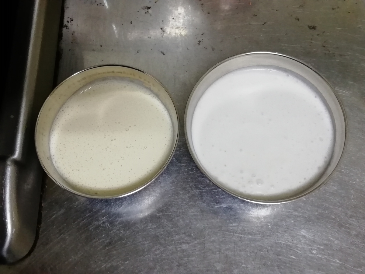 f:id:Curry-Enghi:20190314210925j:plain f:id:Curry-Enghi:20190314210925j:plain