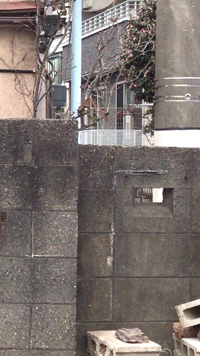 f:id:Custerdome:20210124192431j:image