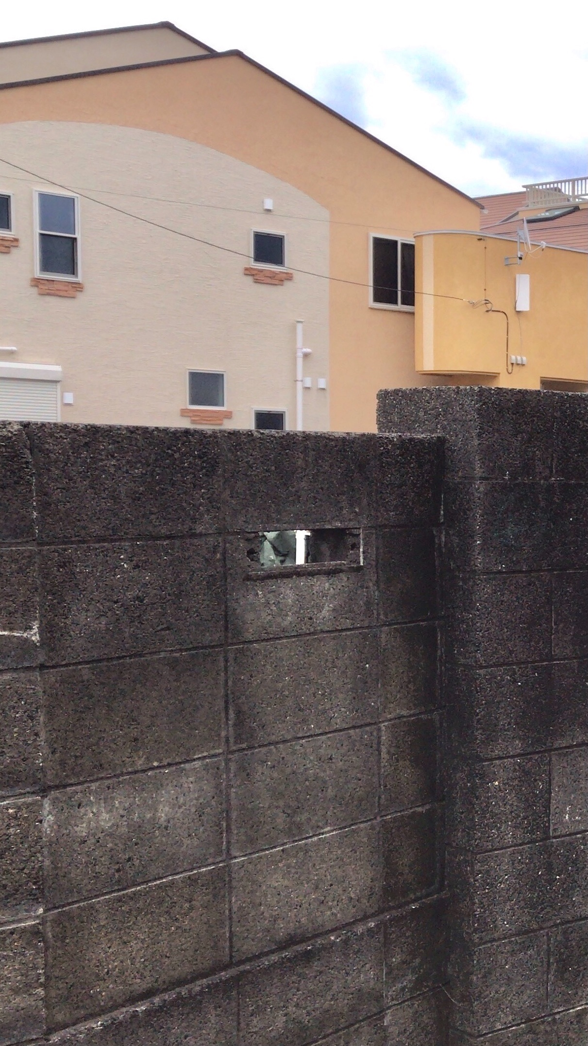 f:id:Custerdome:20210124192501j:image
