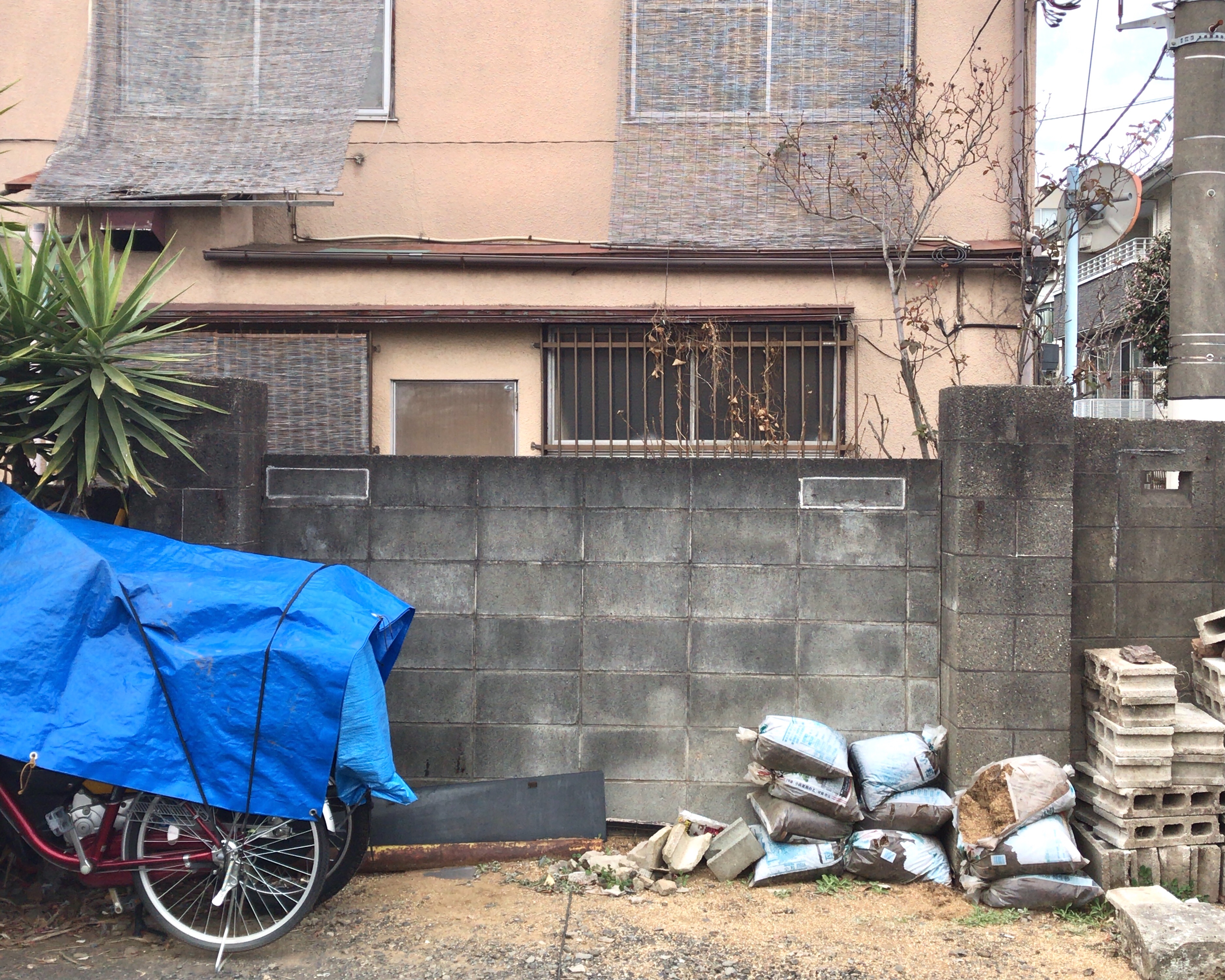 f:id:Custerdome:20210124192652j:image