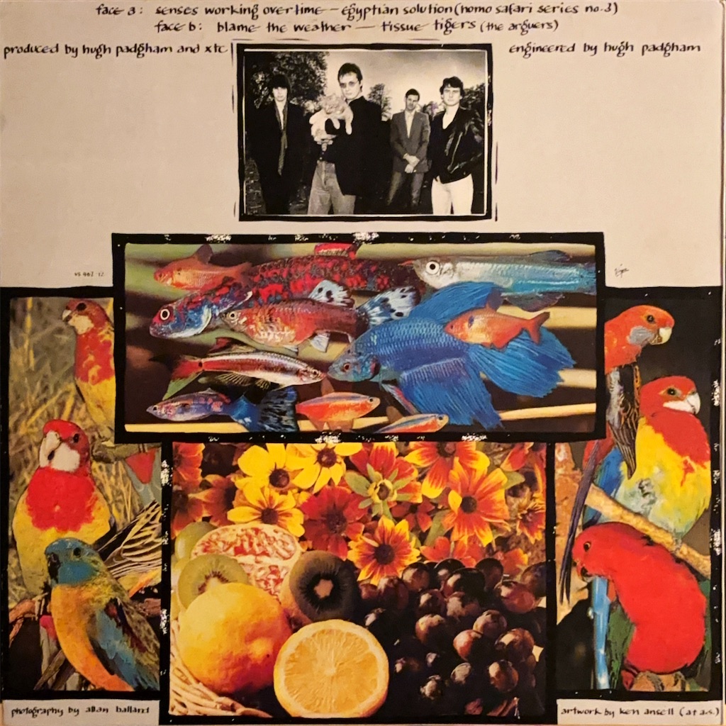 極美盤‼︎UKオリ盤エンボス　XTC イングリッシュ・セツルメント Senses Working Overtime / XTC【UK盤】 - レコード評議会