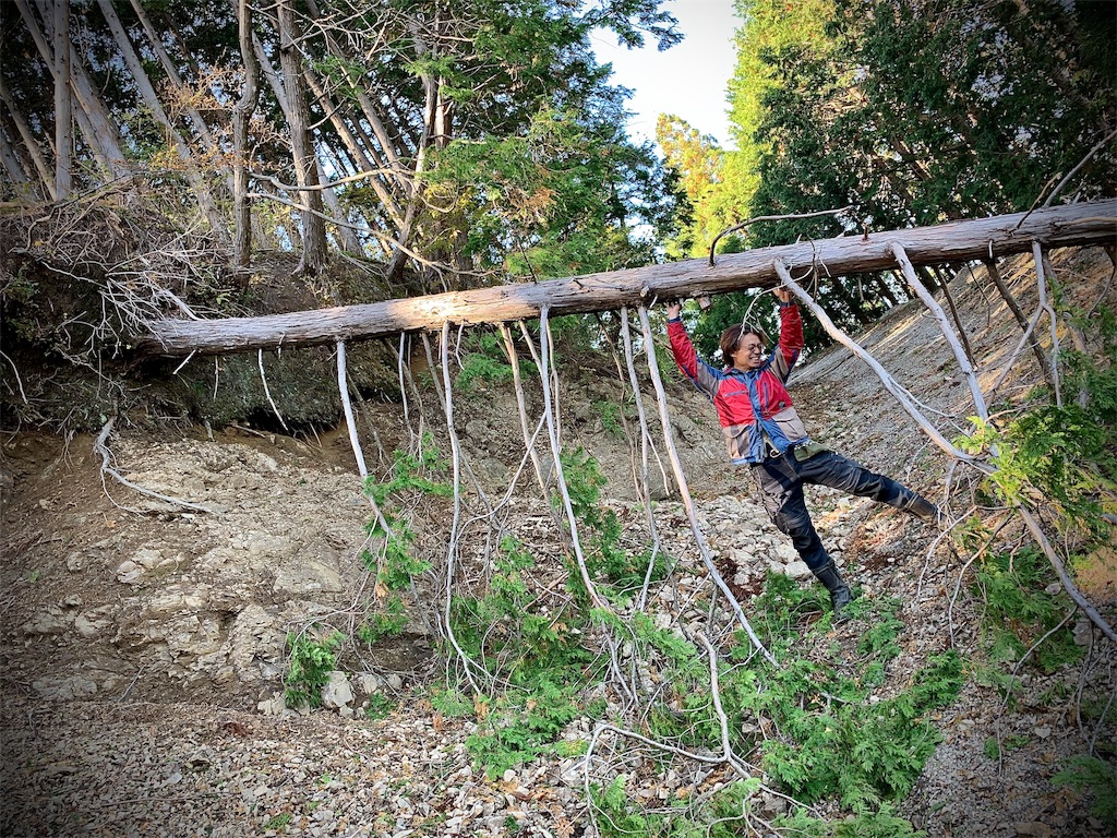 f:id:CustombikeLIGHT:20191105193621j:image f:id:CustombikeLIGHT:20191105193621j:image