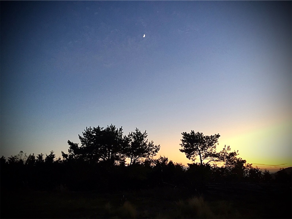 f:id:CustombikeLIGHT:20191106110509j:image f:id:CustombikeLIGHT:20191106110509j:image