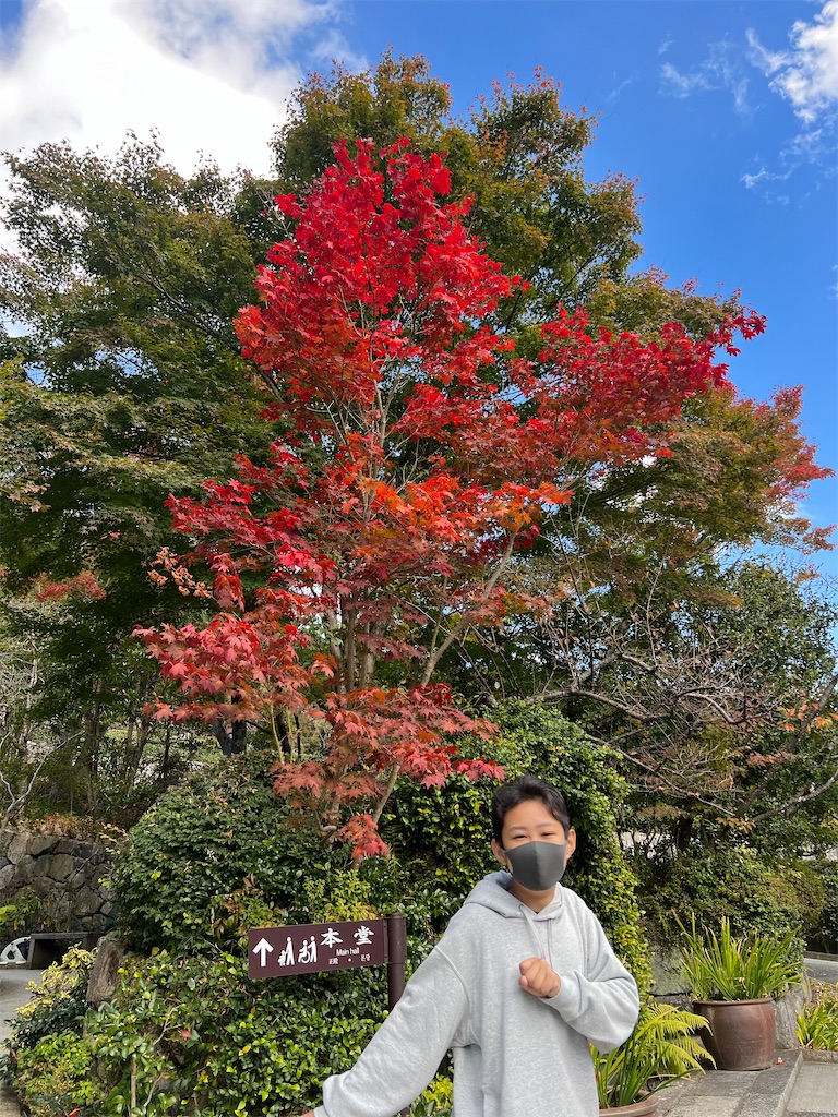 f:id:CustombikeLIGHT:20221104163316j:image f:id:CustombikeLIGHT:20221104163316j:image