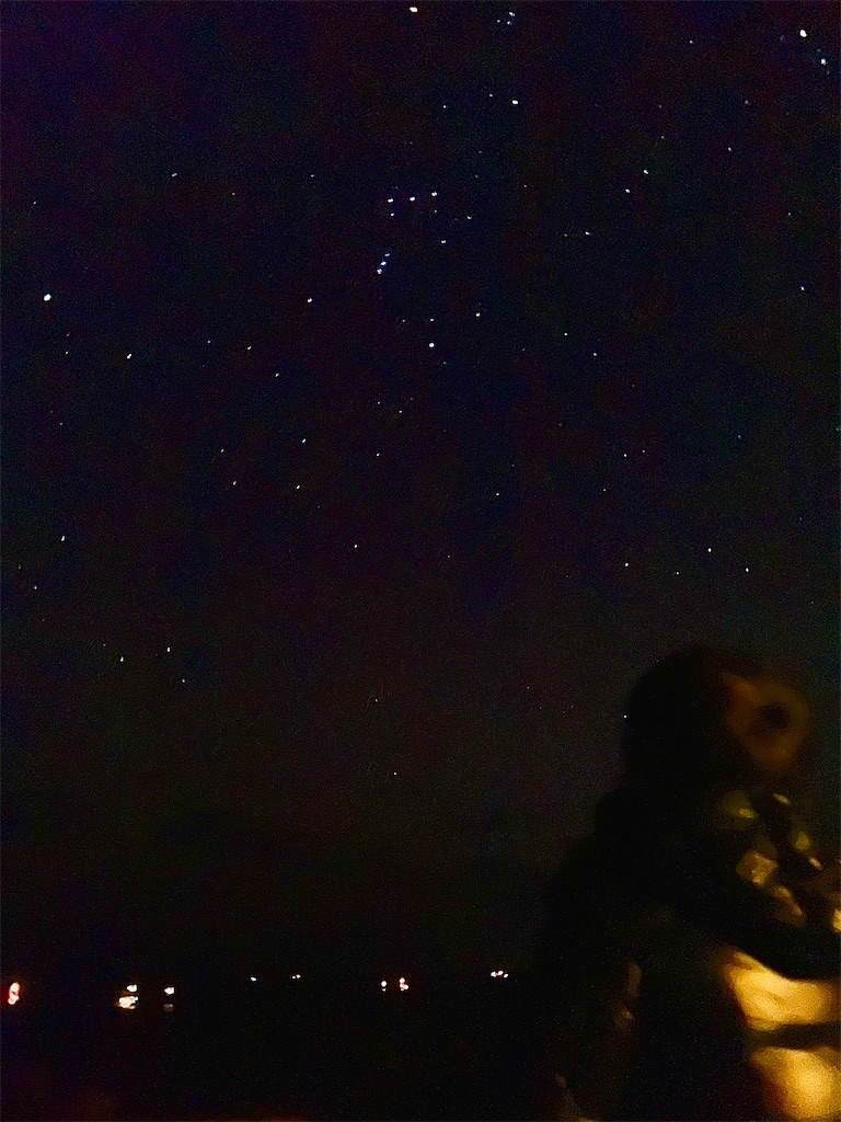 f:id:CustombikeLIGHT:20221106205906j:image