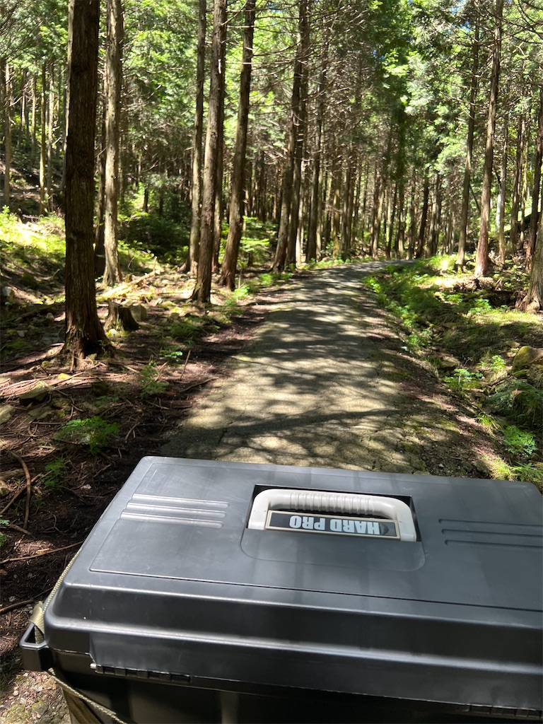 f:id:CustombikeLIGHT:20230721092452j:image