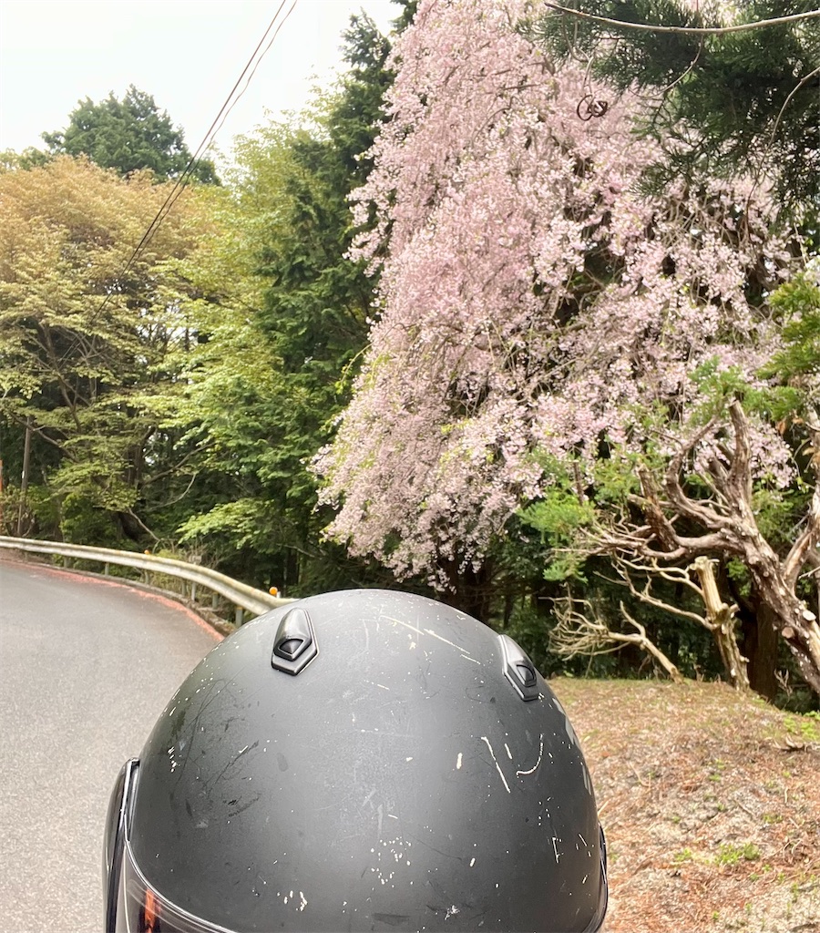 f:id:CustombikeLIGHT:20240422130414j:image f:id:CustombikeLIGHT:20240422130414j:image