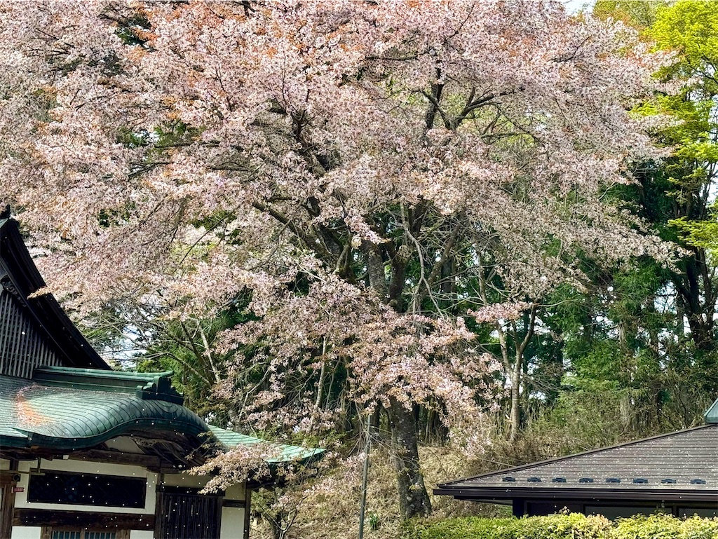 f:id:CustombikeLIGHT:20240422130424j:image f:id:CustombikeLIGHT:20240422130424j:image