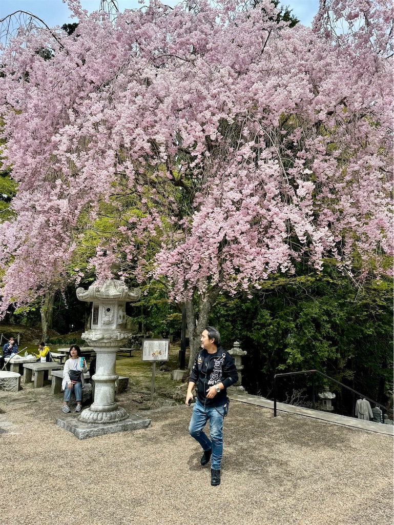 f:id:CustombikeLIGHT:20240422130435j:image f:id:CustombikeLIGHT:20240422130435j:image