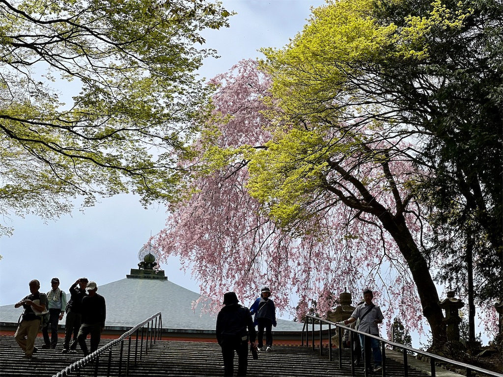 f:id:CustombikeLIGHT:20240422130438j:image f:id:CustombikeLIGHT:20240422130438j:image