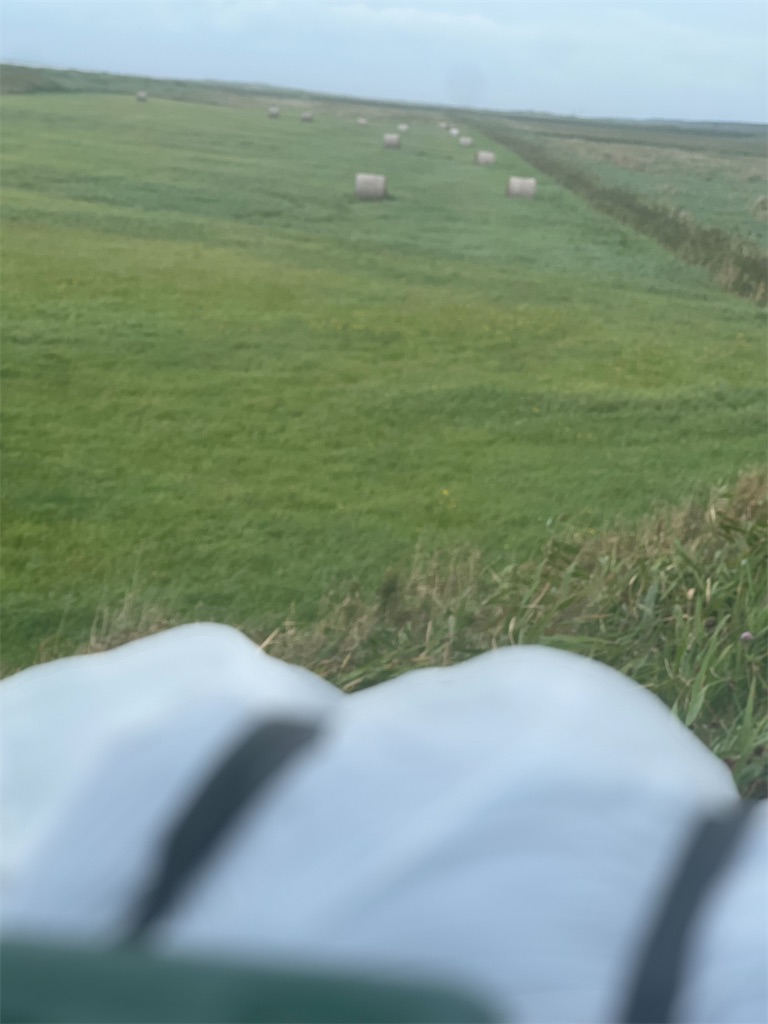 f:id:CustombikeLIGHT:20240906195704j:image