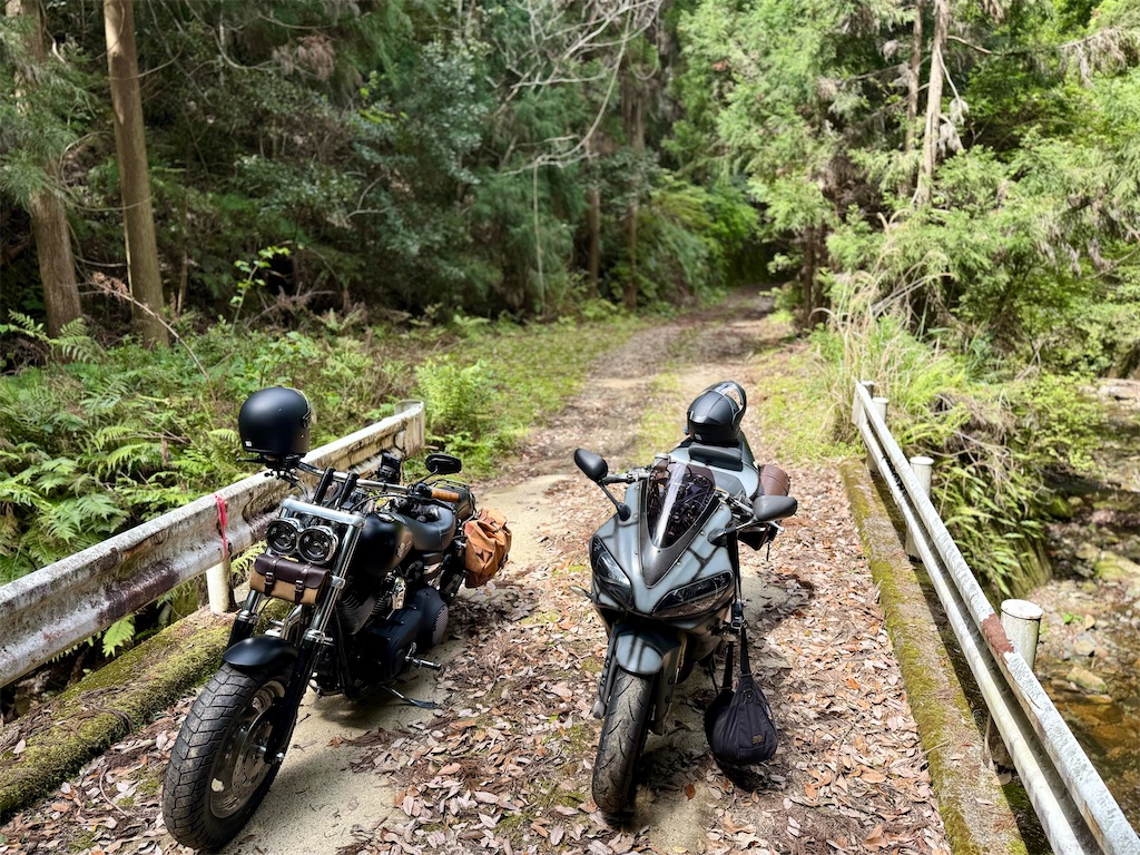 f:id:CustombikeLIGHT:20260420100540j:image