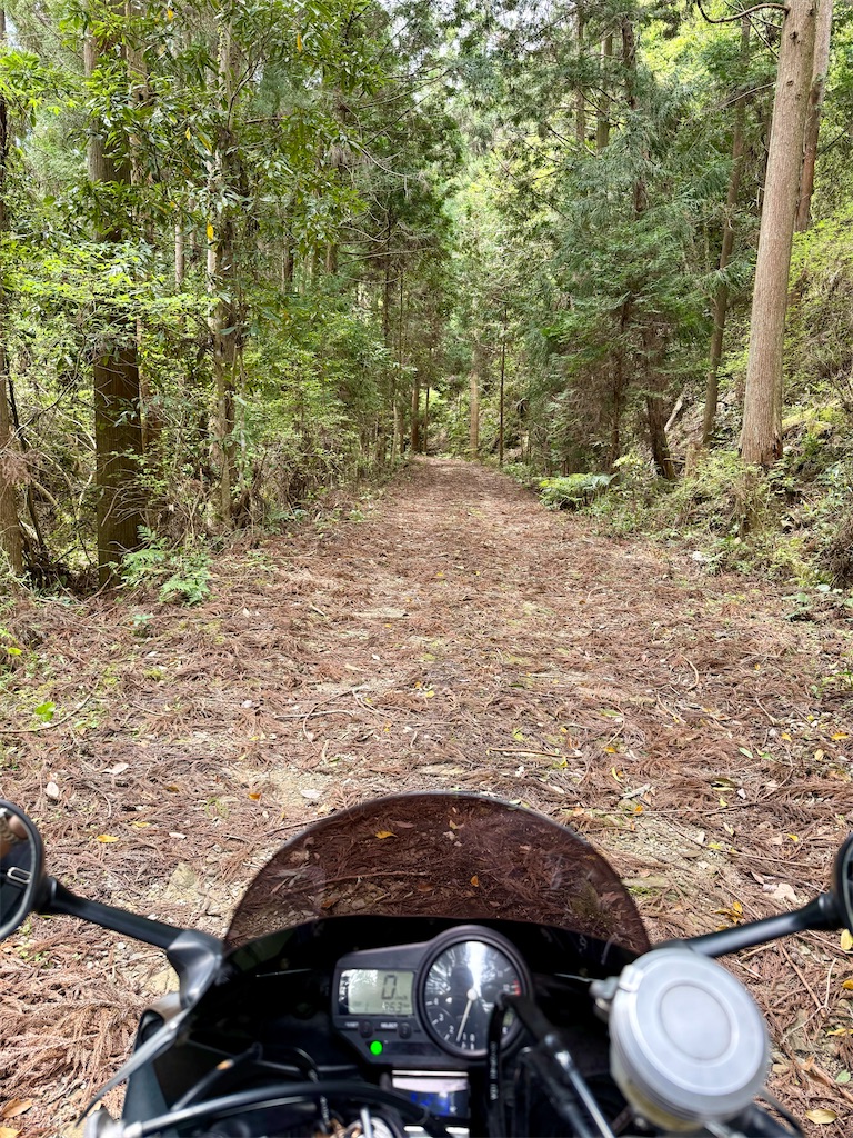 f:id:CustombikeLIGHT:20260420100553j:image