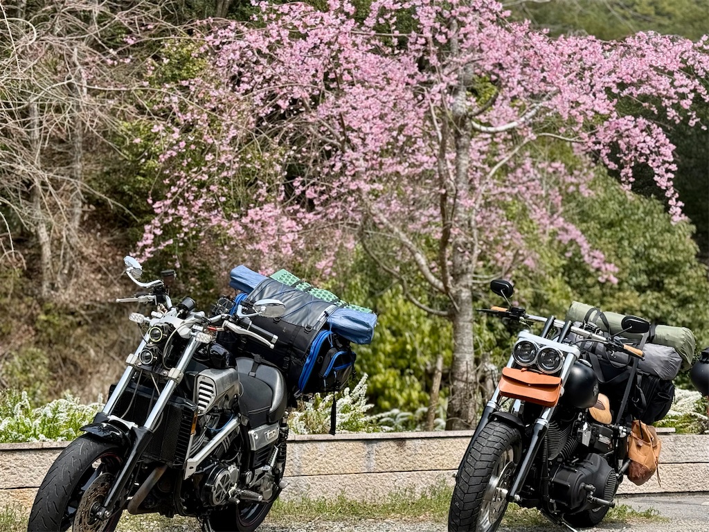 f:id:CustombikeLIGHT:20260604143714j:image